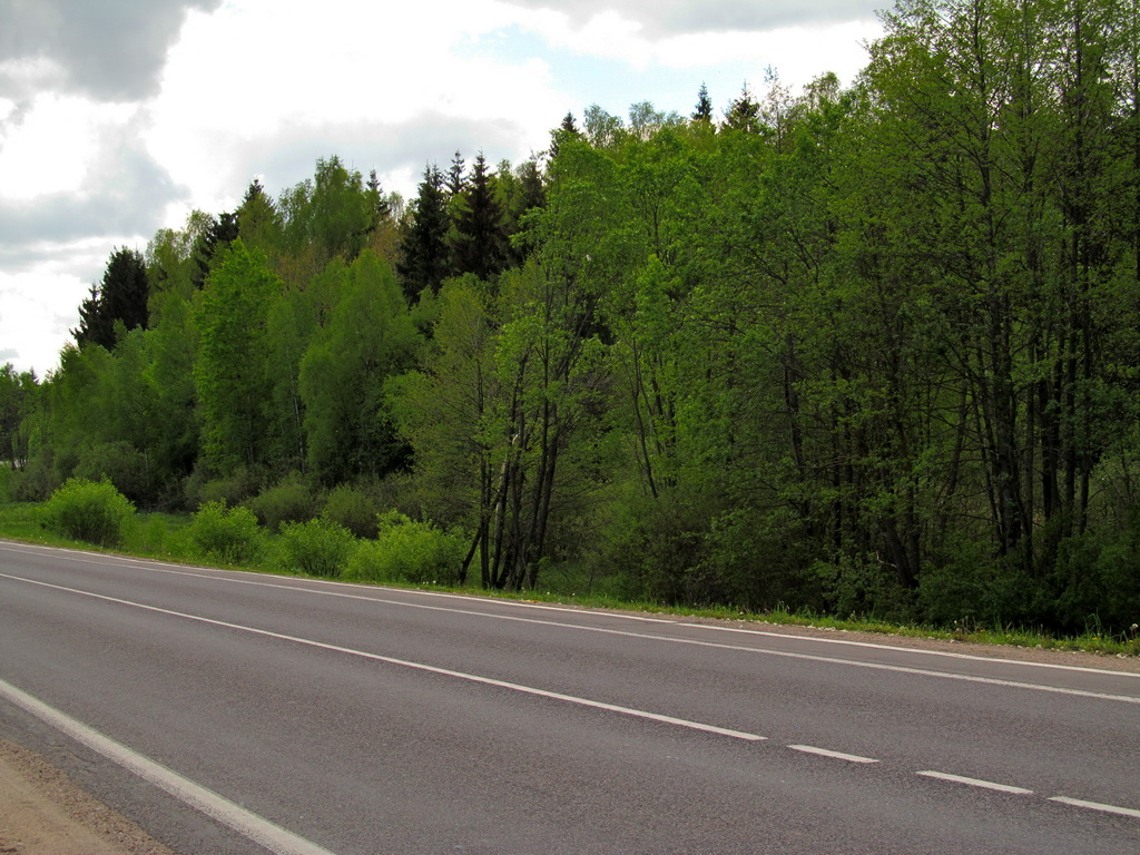 Коростово, image of landscape/habitat.