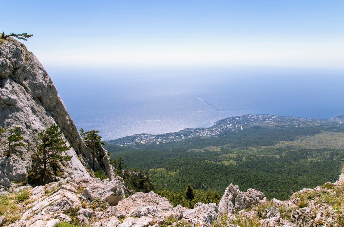 Ай-Петринская яйла, image of landscape/habitat.