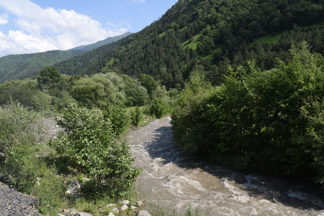 Нижнее течение реки Гулойхи, image of landscape/habitat.