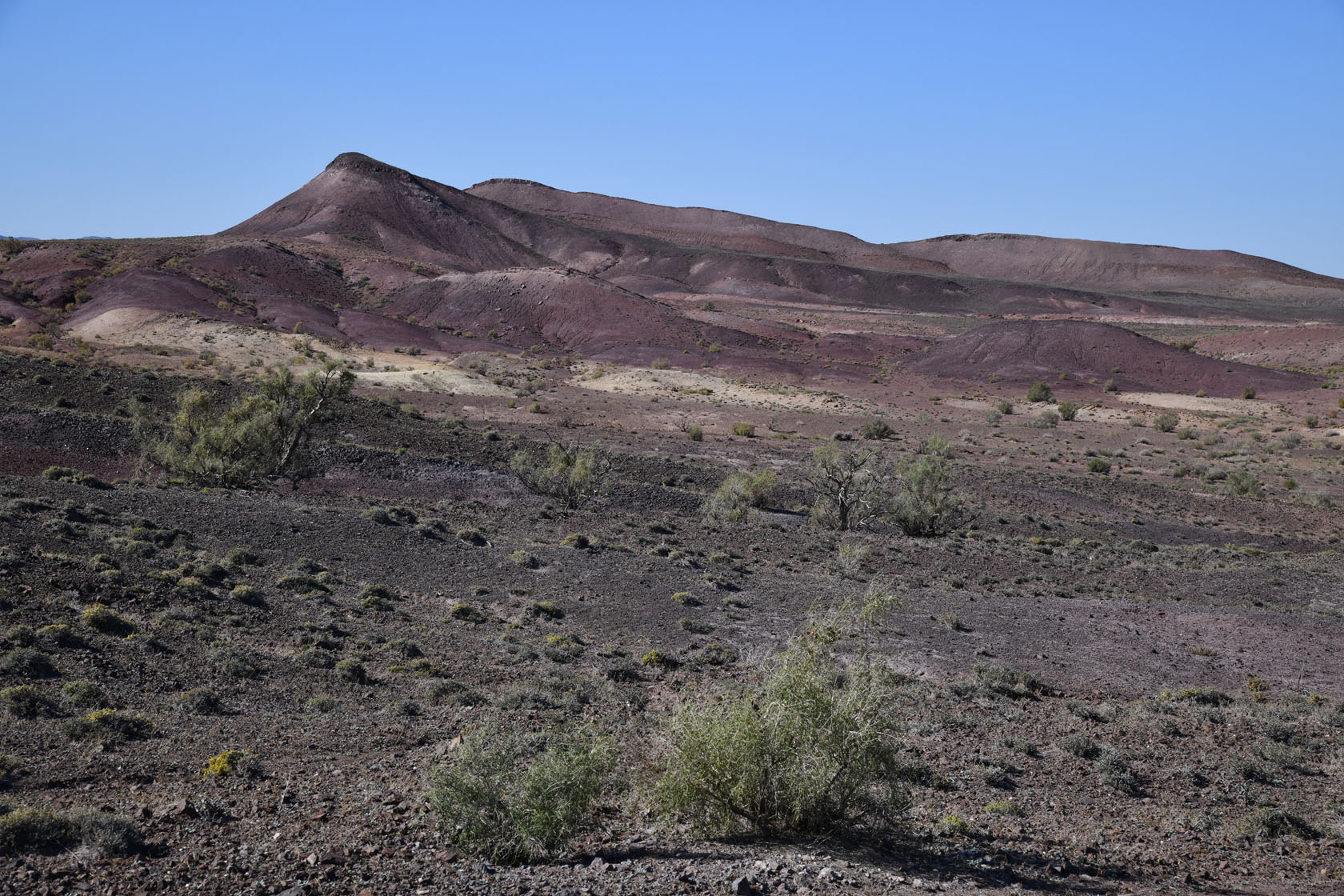 Горы Улькен-Богуты, image of landscape/habitat.