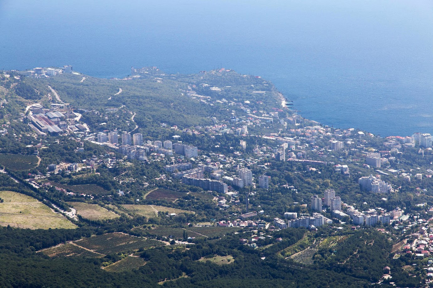 Ай-Петринская яйла, image of landscape/habitat.