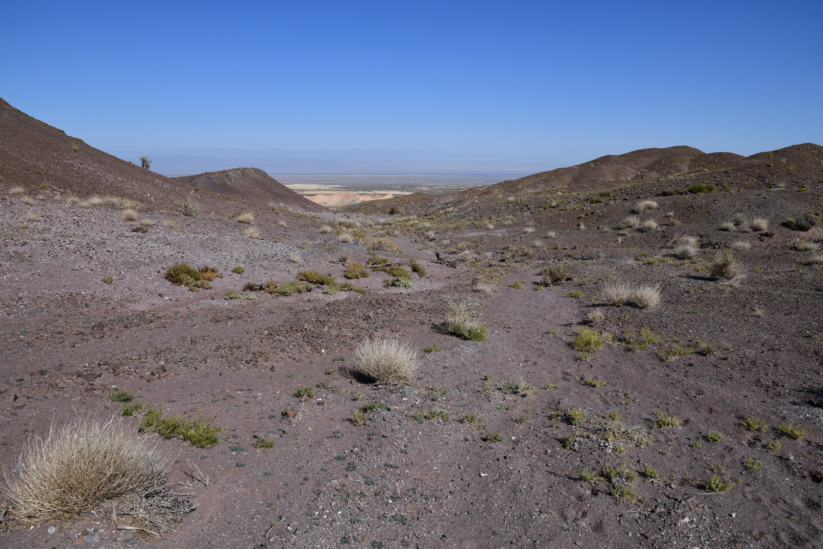 Горы Улькен-Богуты, image of landscape/habitat.