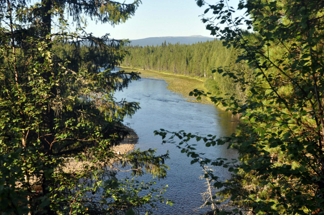 Долина реки Ыджыд-Ляга, image of landscape/habitat.