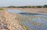 Окрестности кишлака Айбулак, image of landscape/habitat.