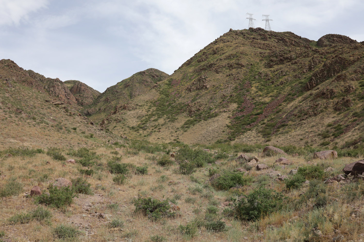 Горы Богуты южнее Нуры, image of landscape/habitat.