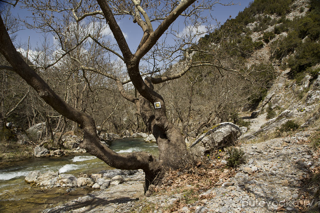 Витина и окрестности, image of landscape/habitat.