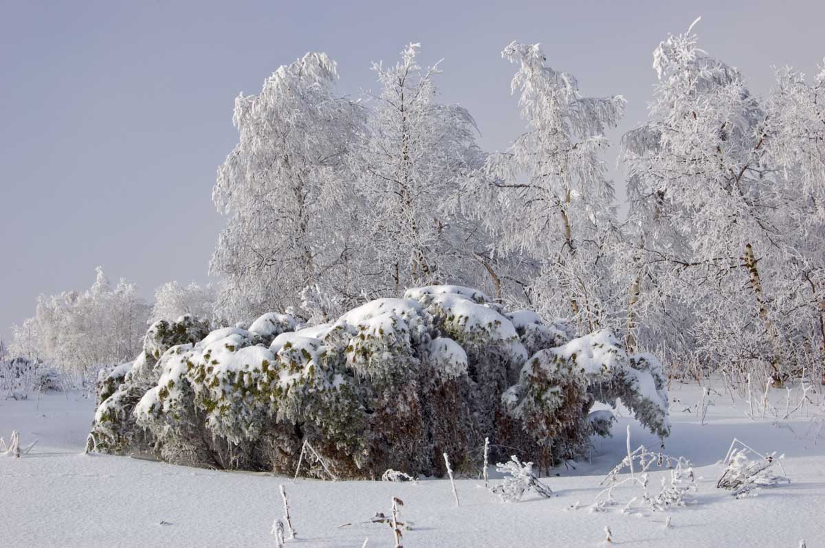 Большой Шатак, image of landscape/habitat.