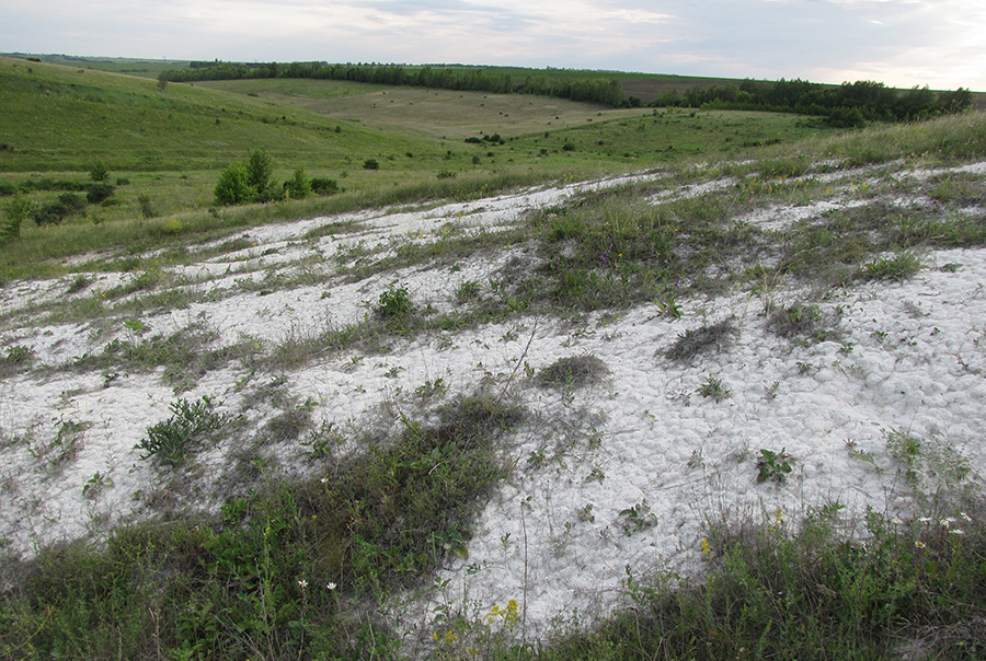 Ерёмкин лог, image of landscape/habitat.