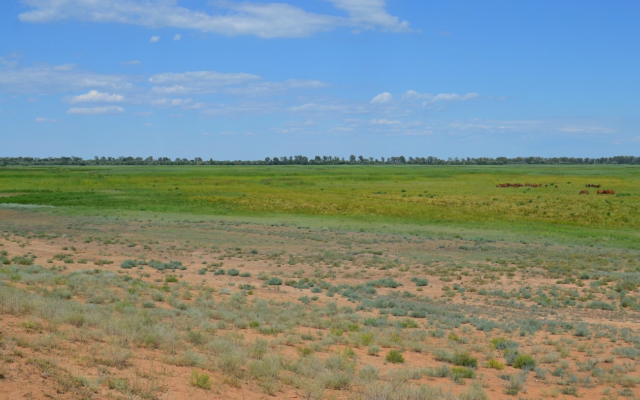 Ямное, image of landscape/habitat.