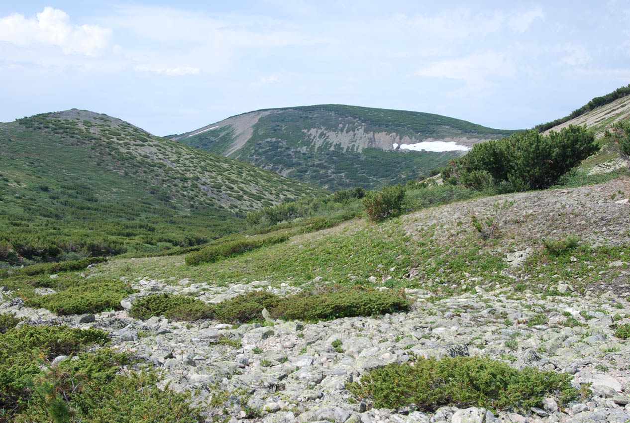 Плато полуострова Святой Нос, image of landscape/habitat.