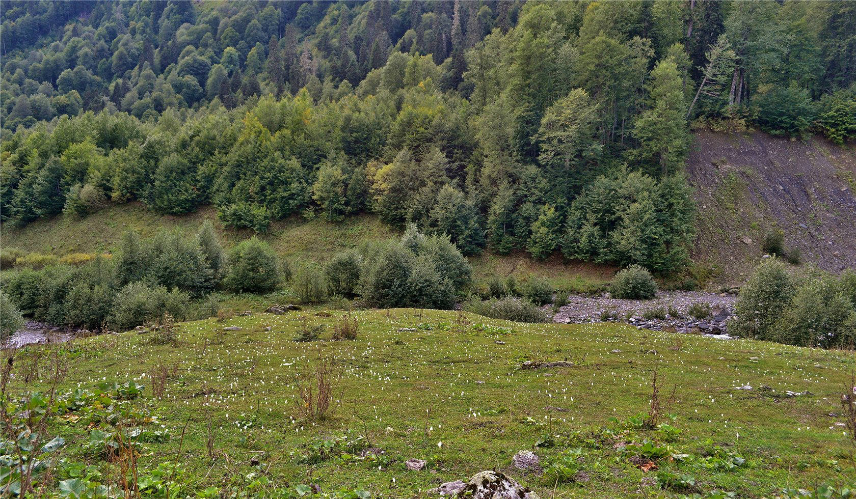 Авадхара (Ауадхара), изображение ландшафта.