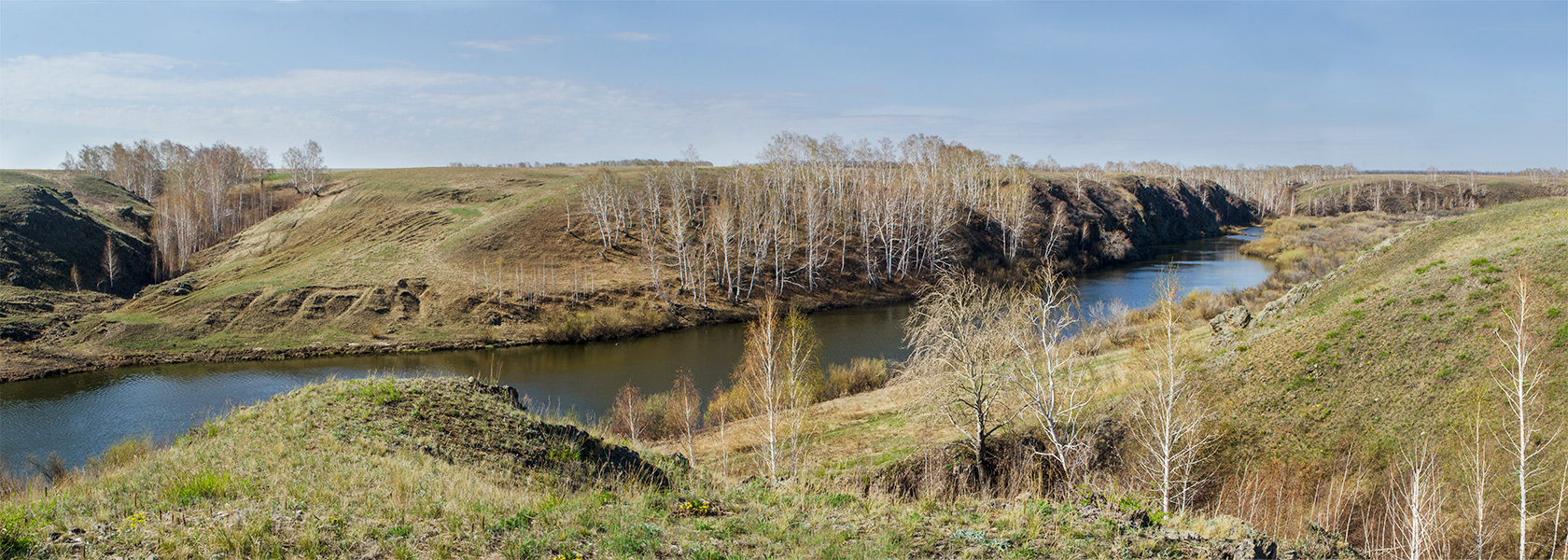 Окрестности Скалистого, image of landscape/habitat.