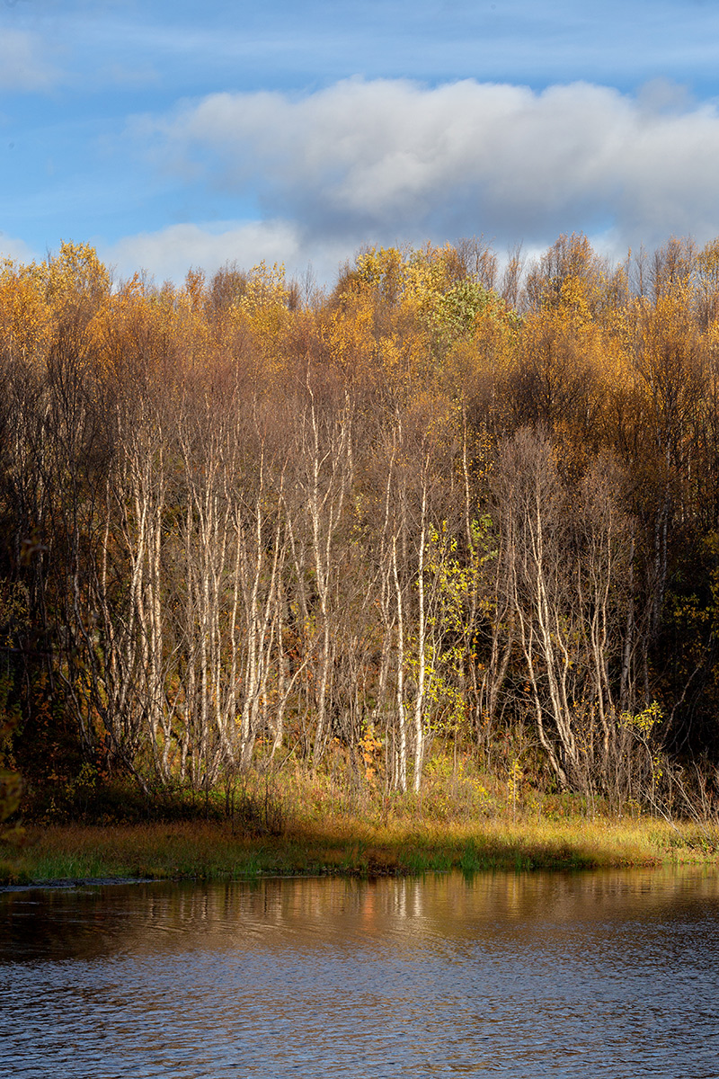 Мурманск, image of landscape/habitat.