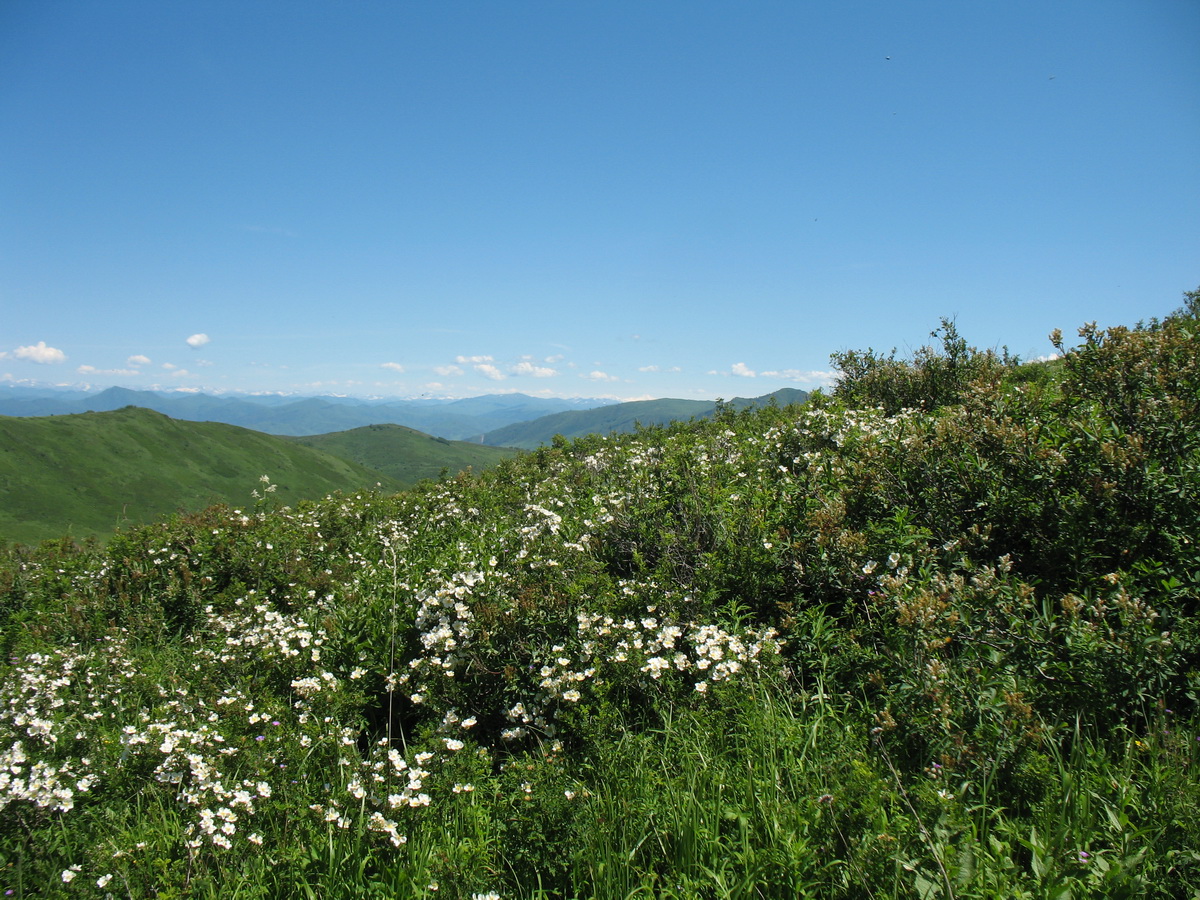 Горы Таловка, image of landscape/habitat.