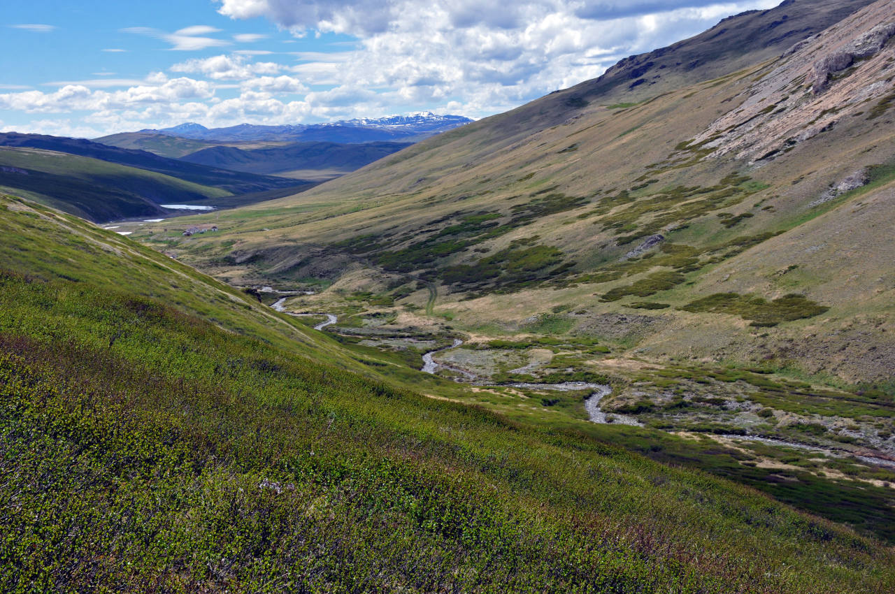 Долина реки Аккаллу-Озек, image of landscape/habitat.