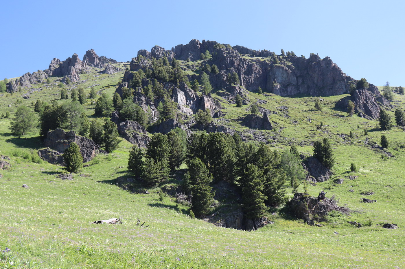 Гора Михайловка, image of landscape/habitat.