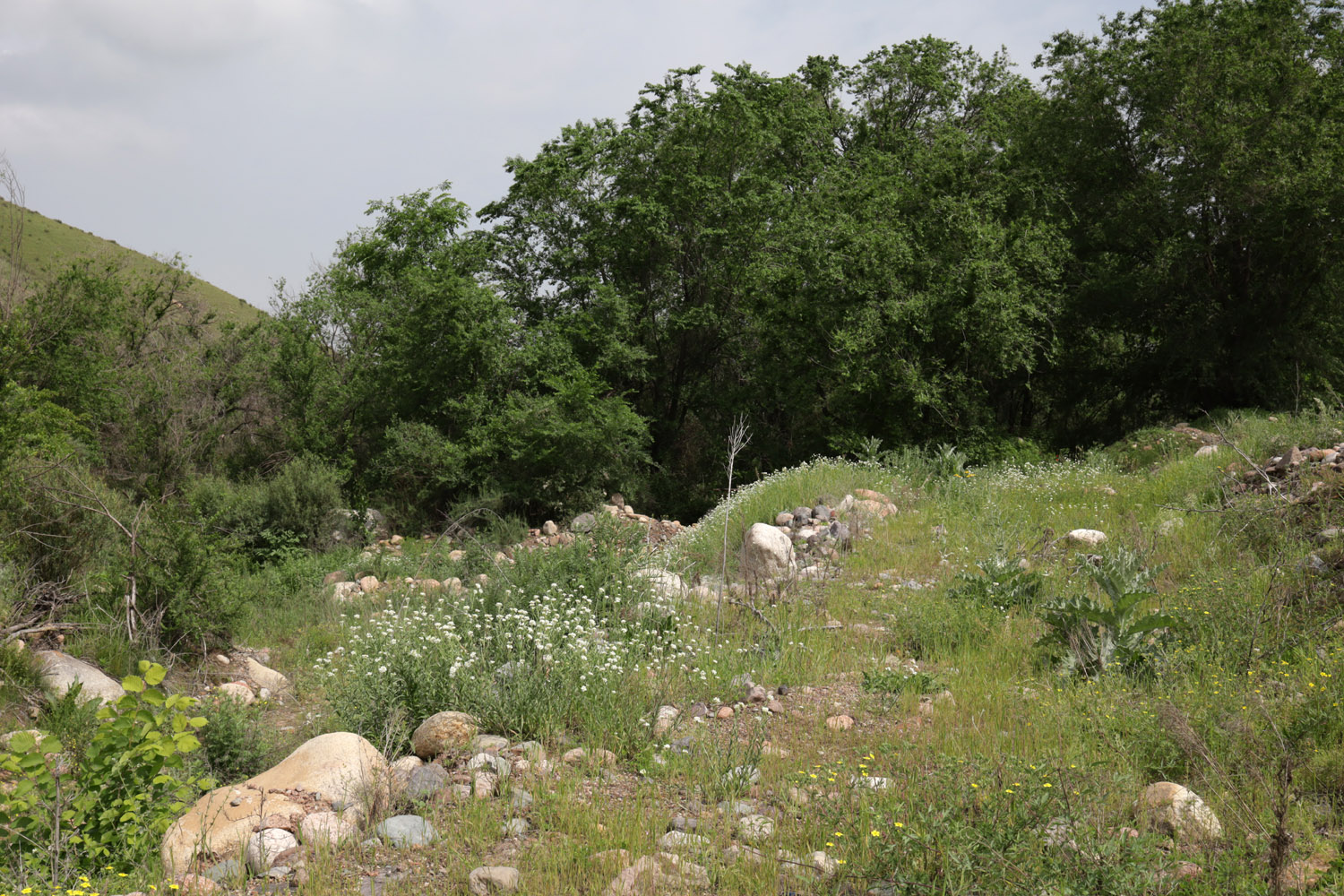 Долина реки Шамалган, image of landscape/habitat.