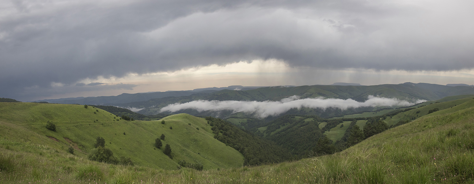 Верховья реки Экиара, image of landscape/habitat.