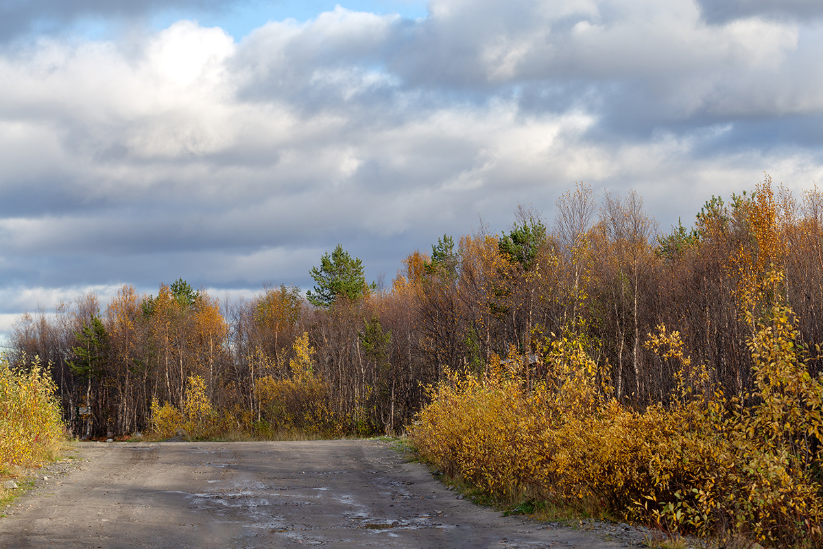 Мурманск, image of landscape/habitat.