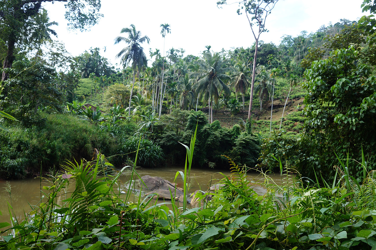 Синхараджа, image of landscape/habitat.