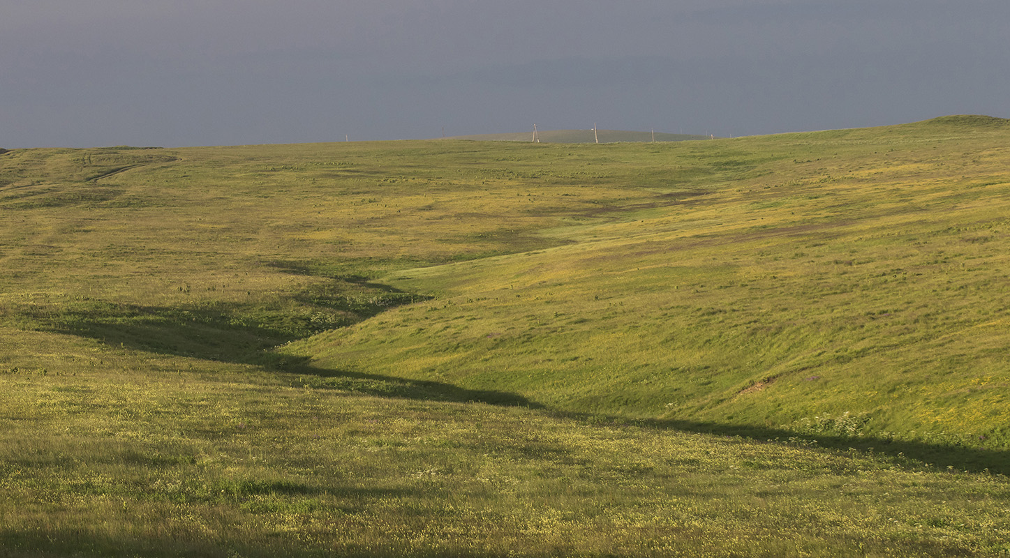 Верховья реки Экиара, image of landscape/habitat.