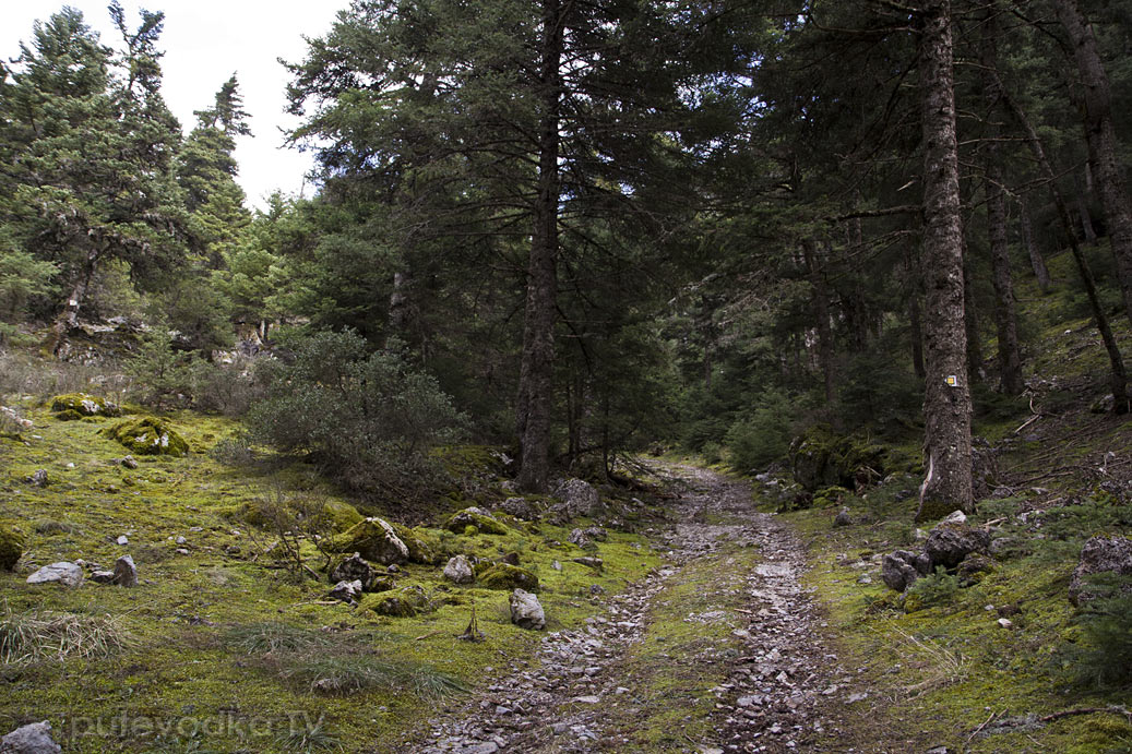 Витина и окрестности, image of landscape/habitat.