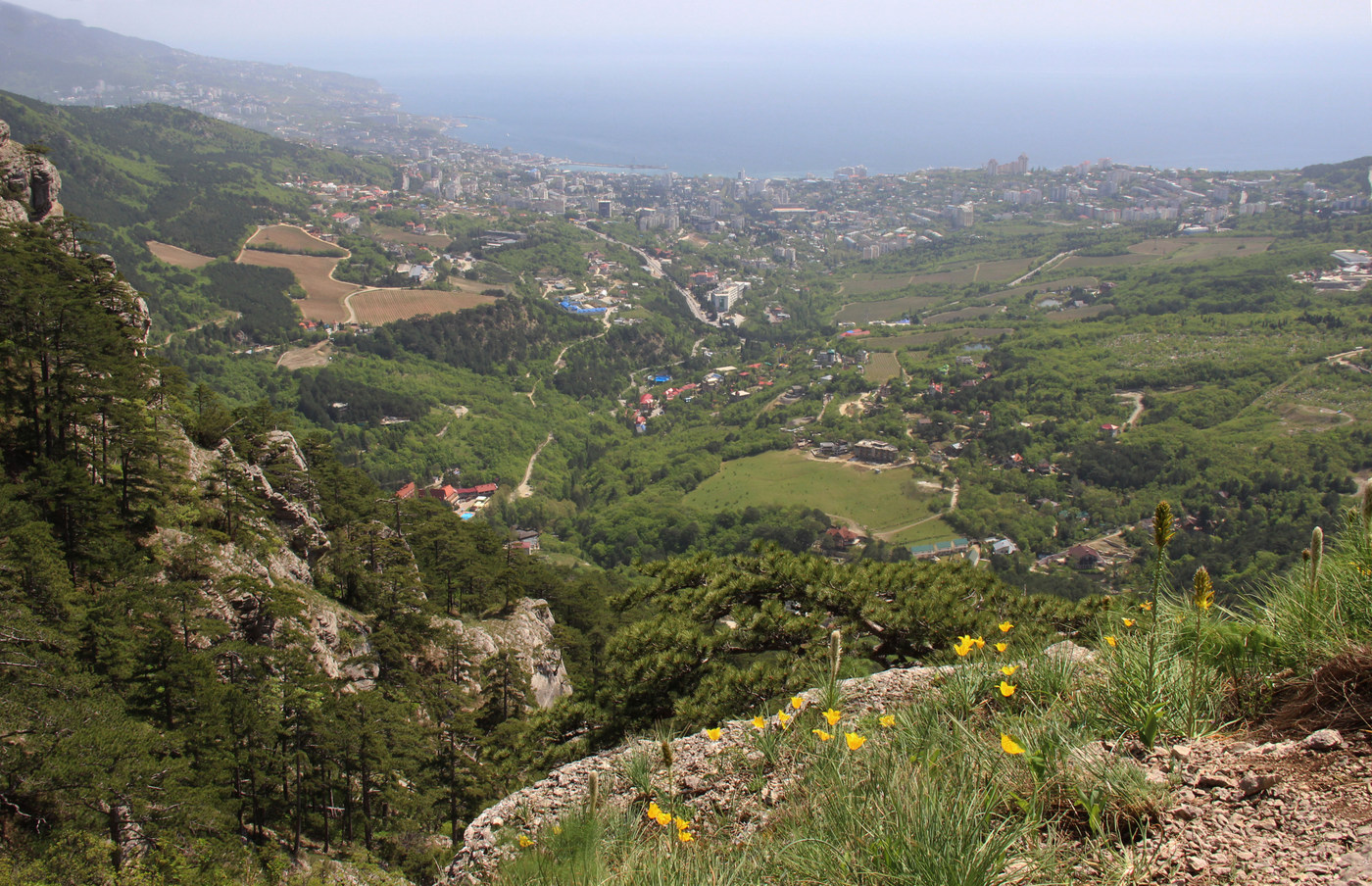 Боткинская тропа, image of landscape/habitat.