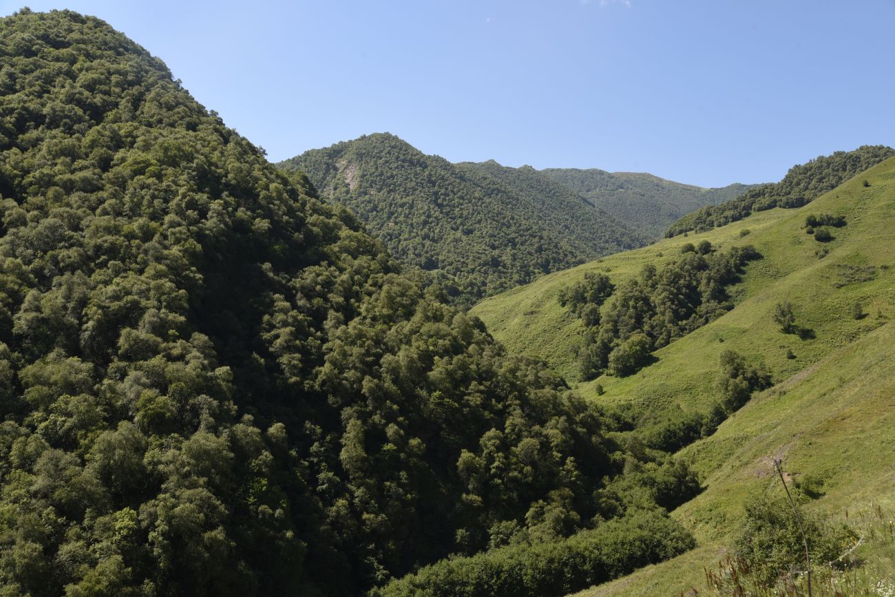 Старый дом Мухтара, изображение ландшафта.