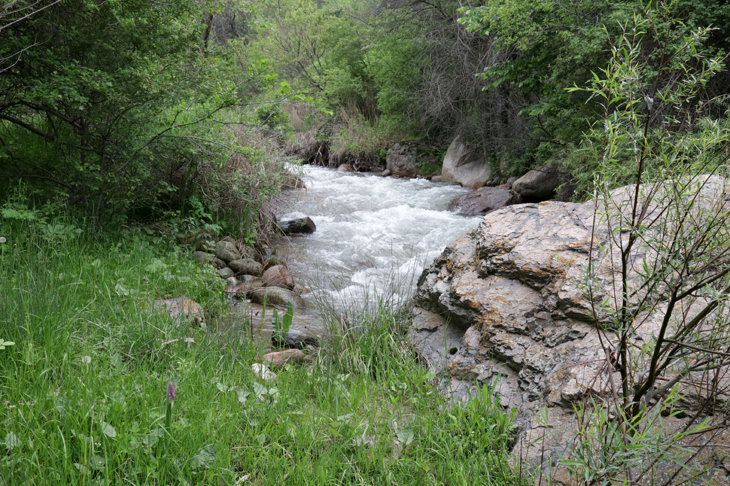 Долина реки Шамалган, image of landscape/habitat.