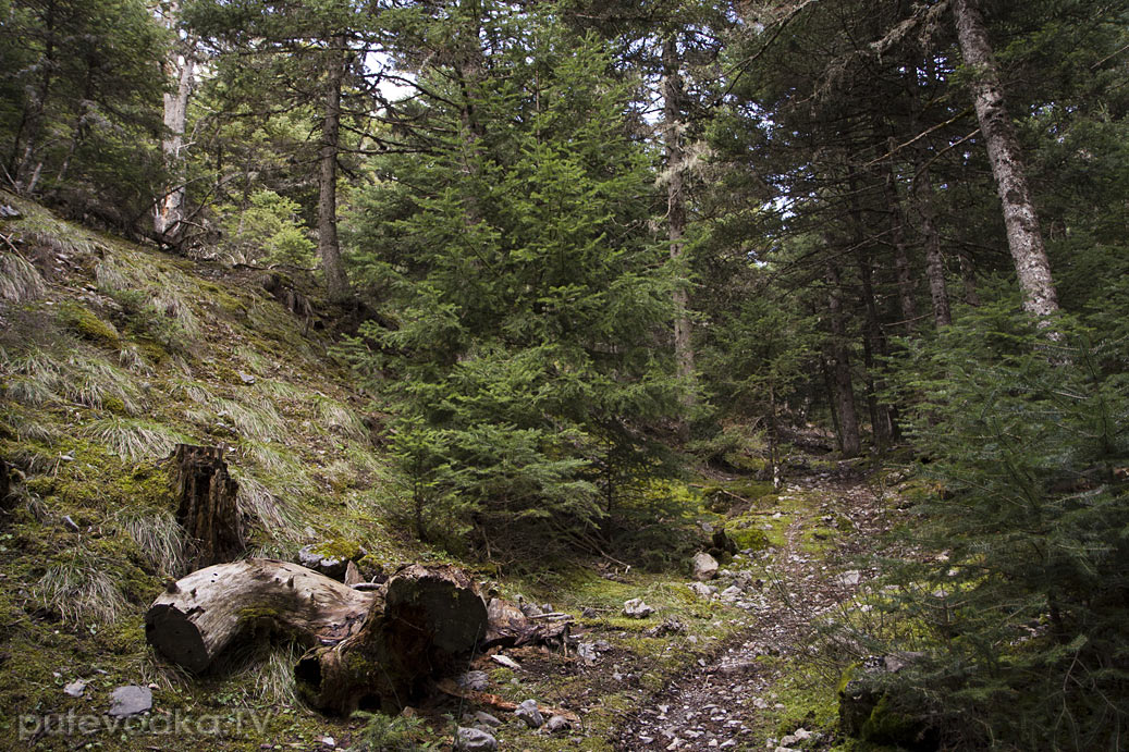 Витина и окрестности, image of landscape/habitat.