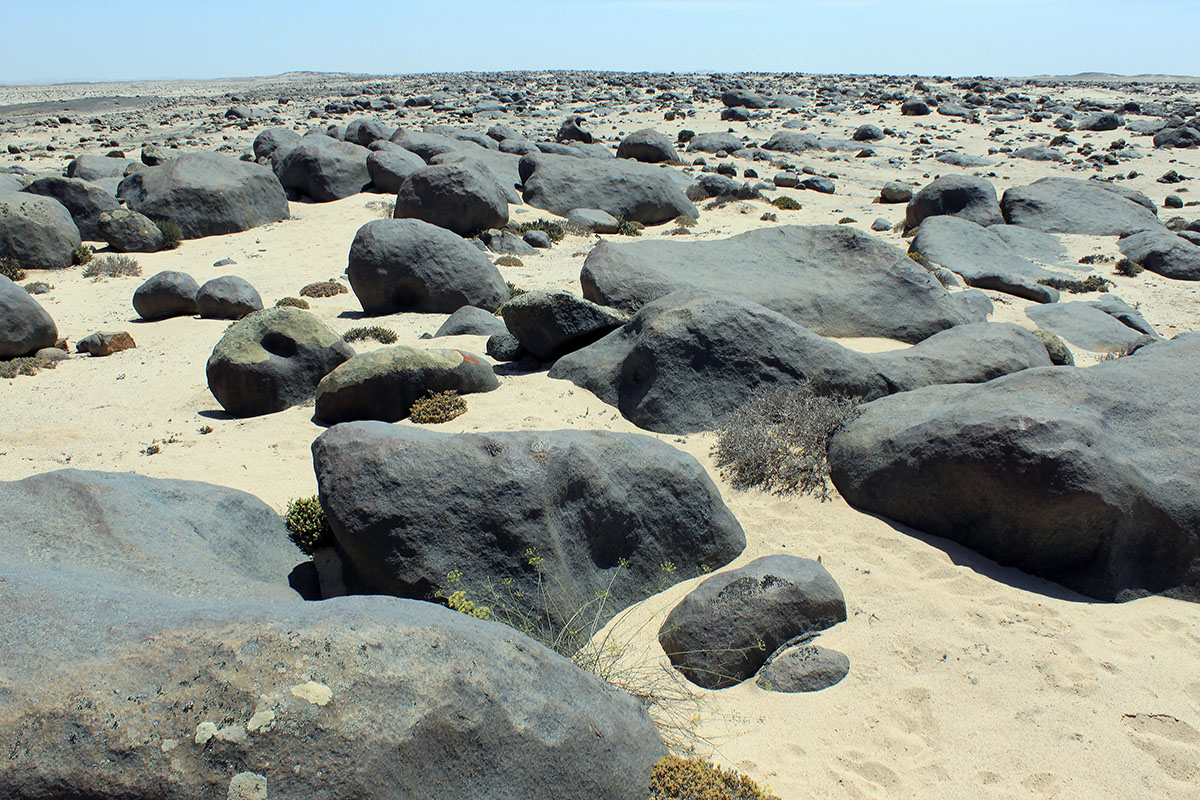 Берег скелетов, image of landscape/habitat.