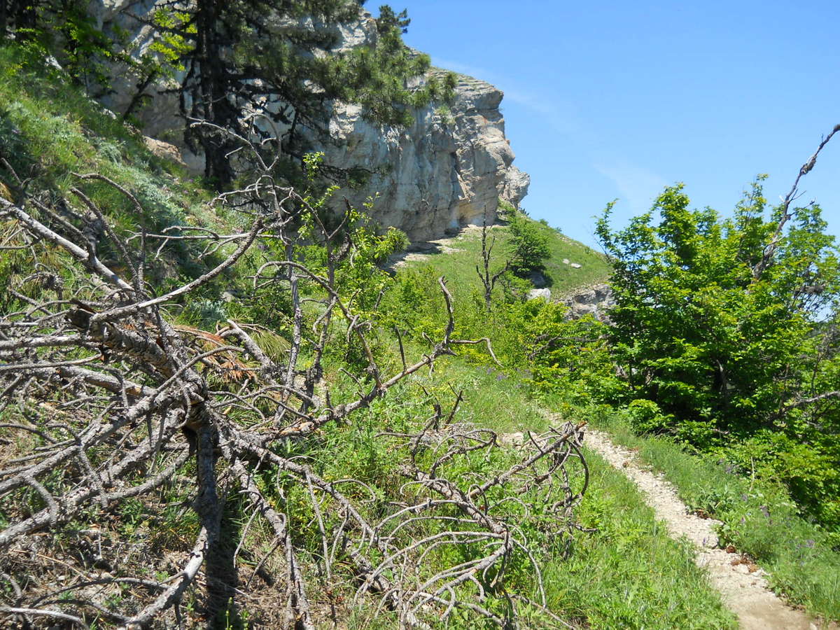 хр. Иограф над г. Ялта, image of landscape/habitat.