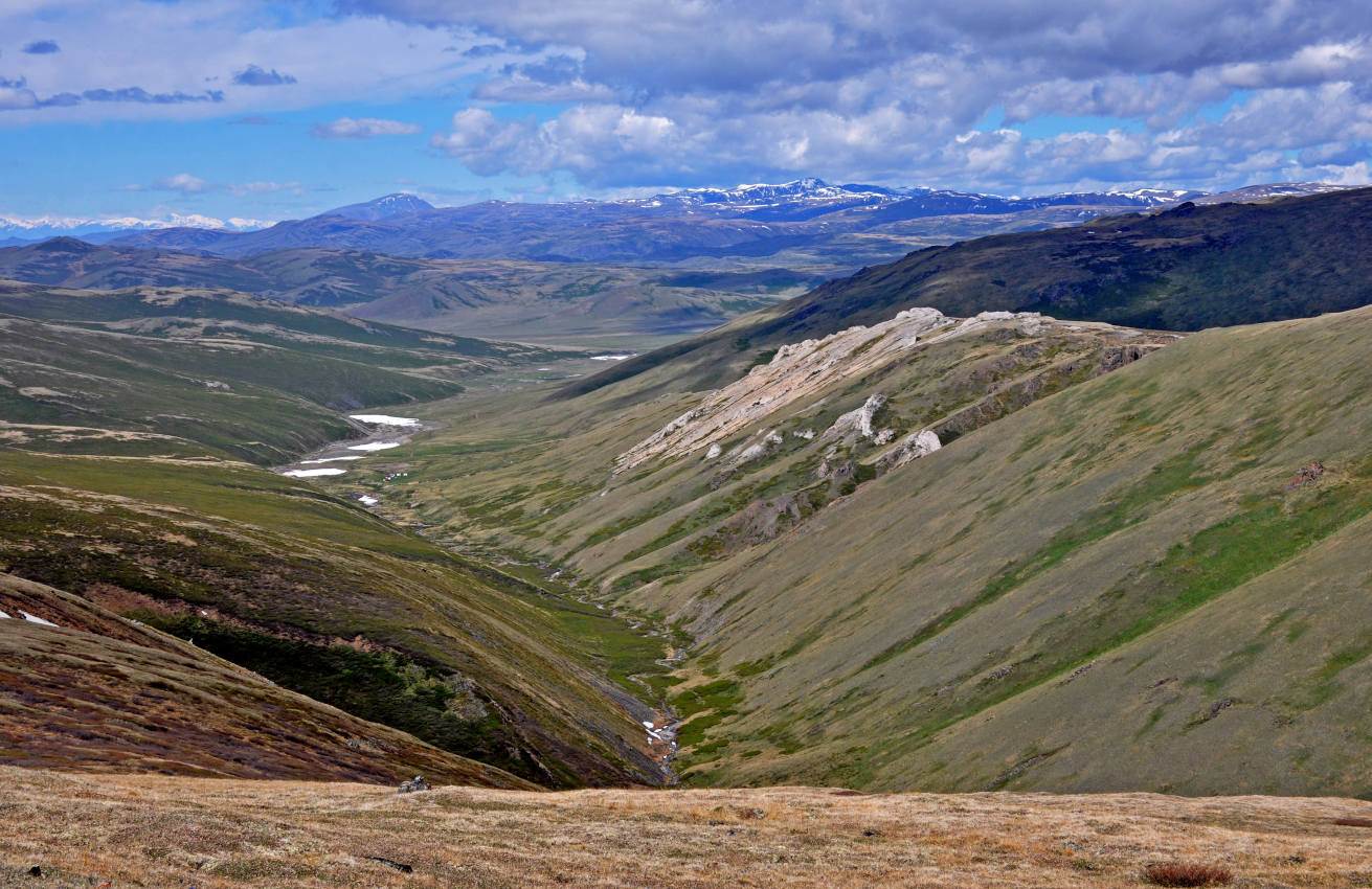 Долина реки Аккаллу-Озек, image of landscape/habitat.