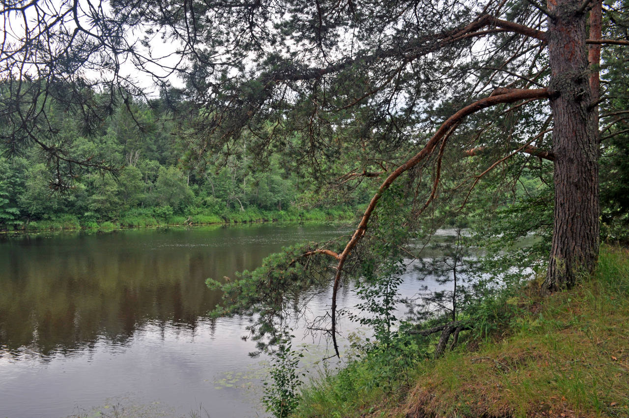 Долина реки Медведица, image of landscape/habitat.