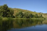 Осиновский лес, image of landscape/habitat.