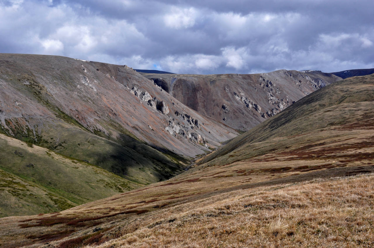 Долина реки Аккаллу-Озек, image of landscape/habitat.