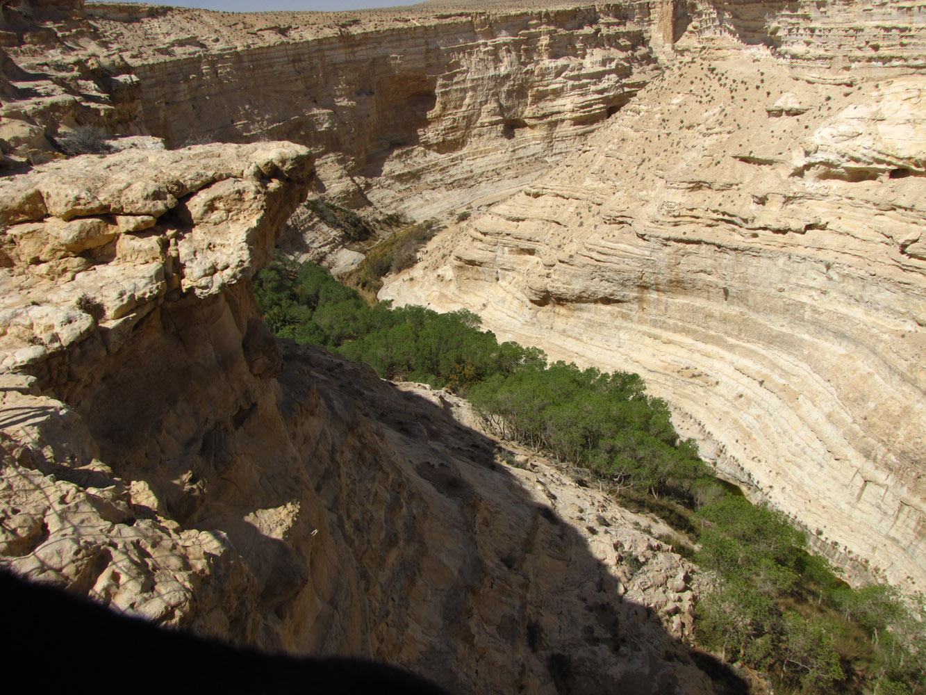 Нахаль Цын, image of landscape/habitat.