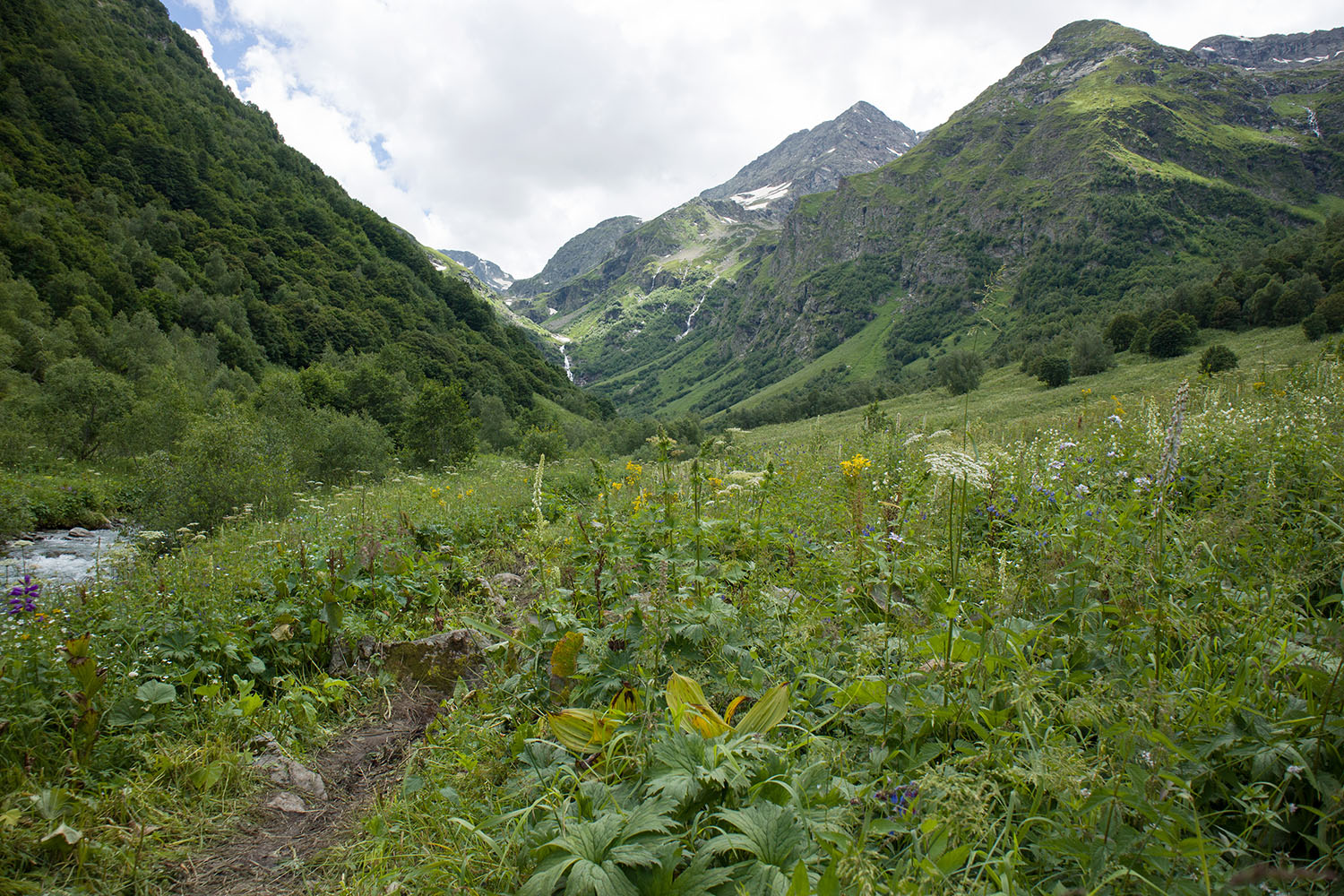 Имеретинское ущелье, image of landscape/habitat.