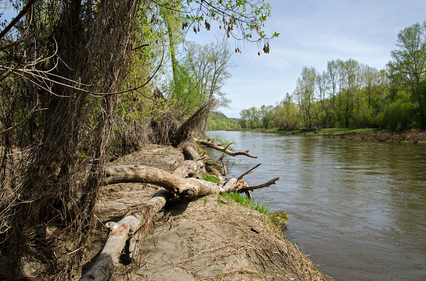 Акназарово и окрестности, image of landscape/habitat.