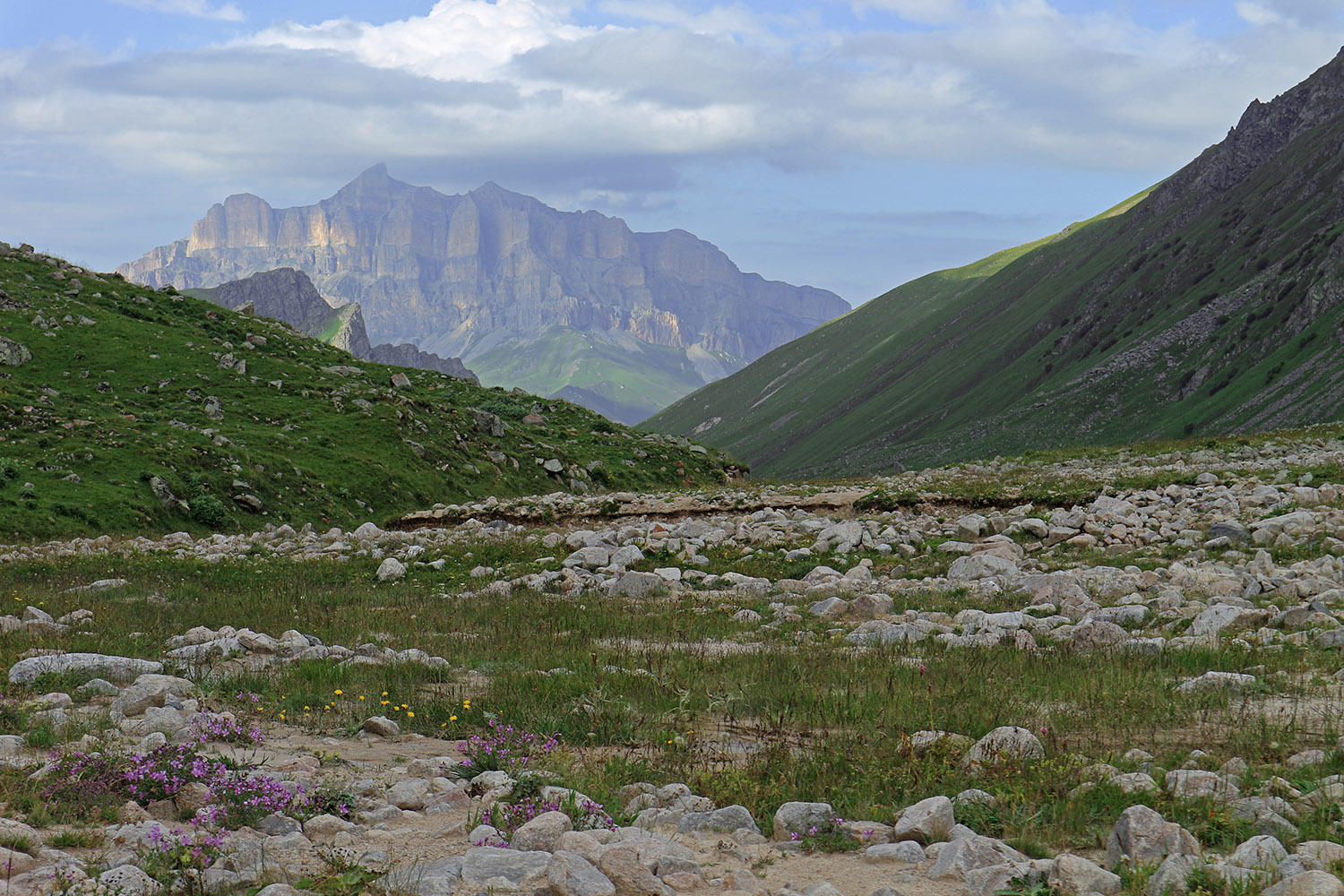 Псыгансу в верхнем течении, image of landscape/habitat.