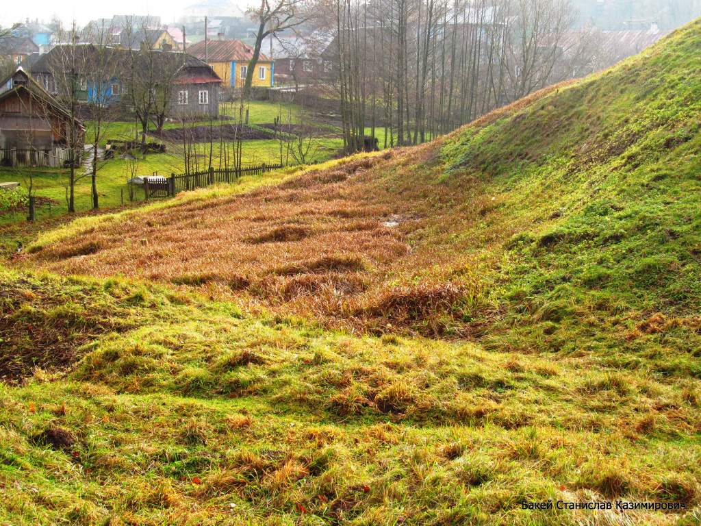 Замковый ручей, image of landscape/habitat.