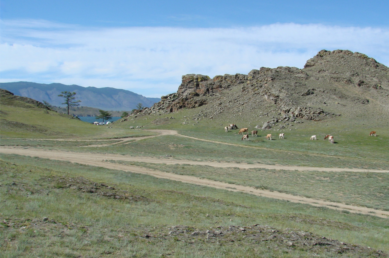 Тажеранская степь, image of landscape/habitat.