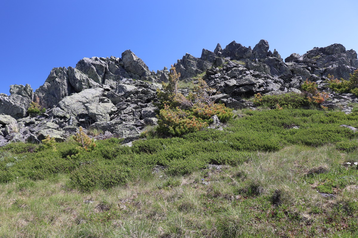 Гора Михайловка, image of landscape/habitat.