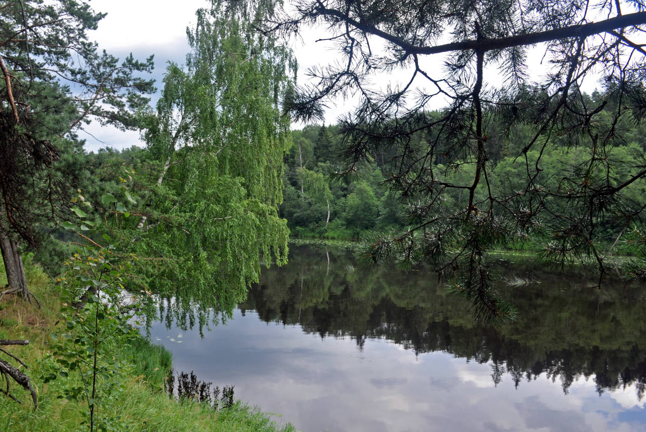 Долина реки Медведица, image of landscape/habitat.