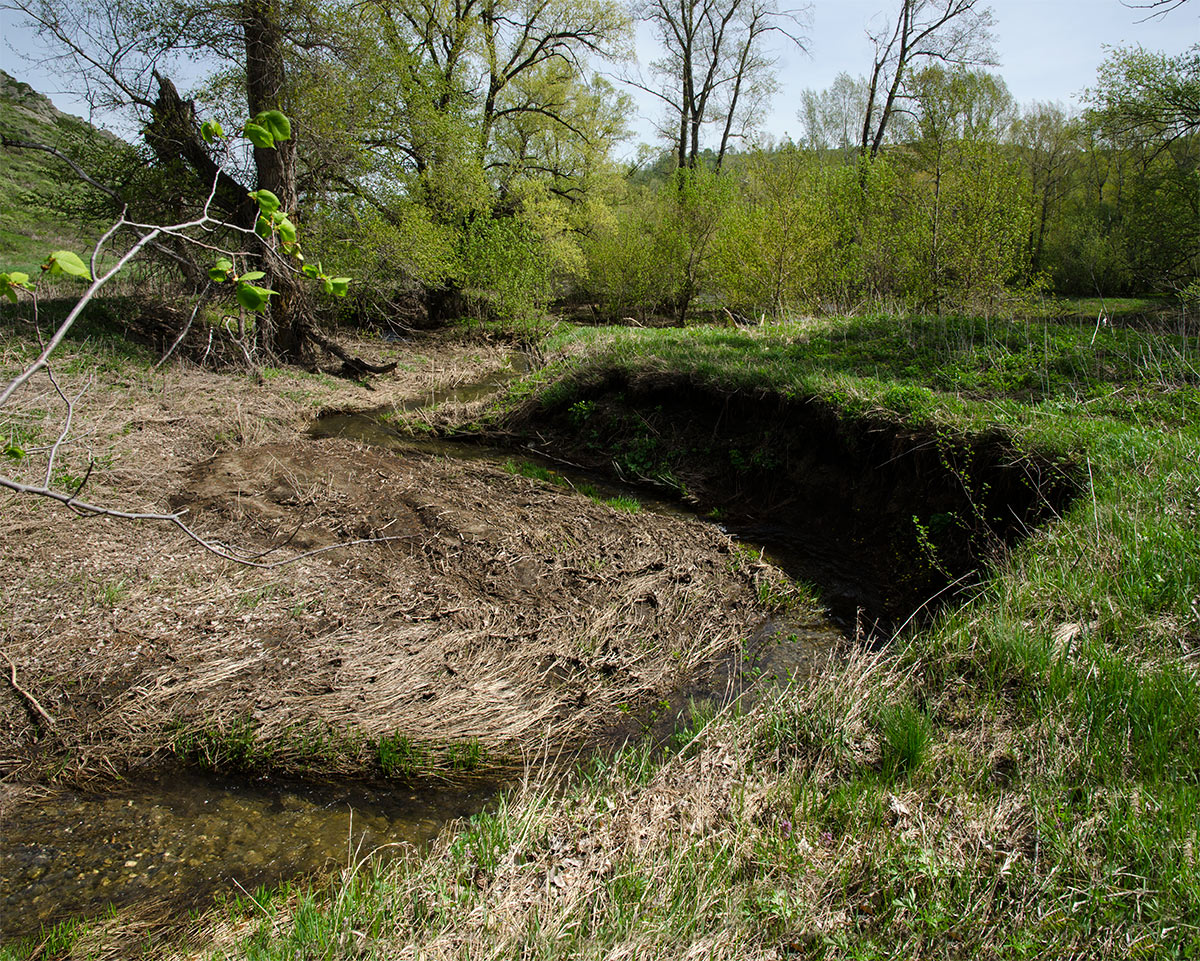 Акназарово и окрестности, image of landscape/habitat.