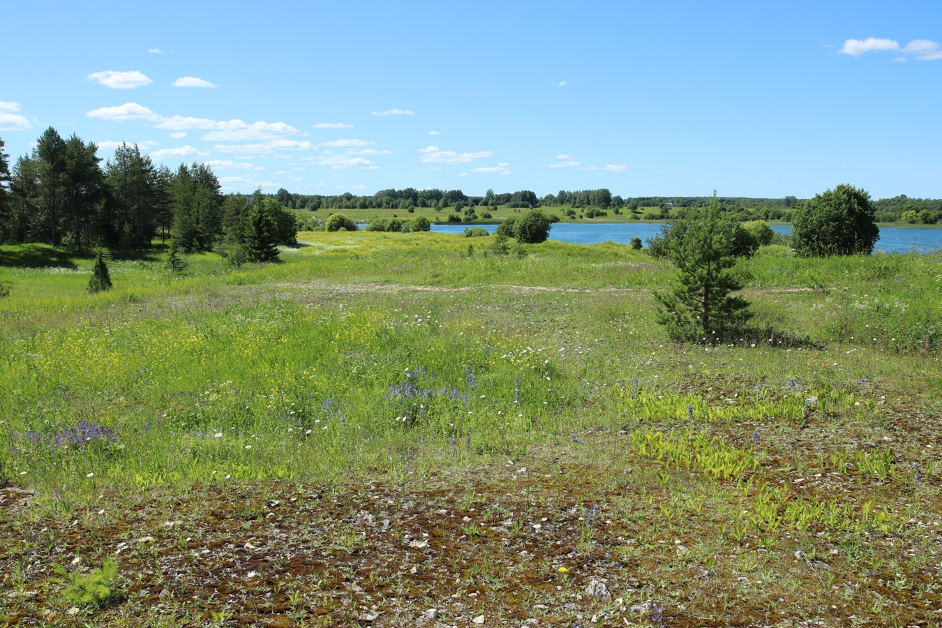 Кюрлевский карьер, image of landscape/habitat.