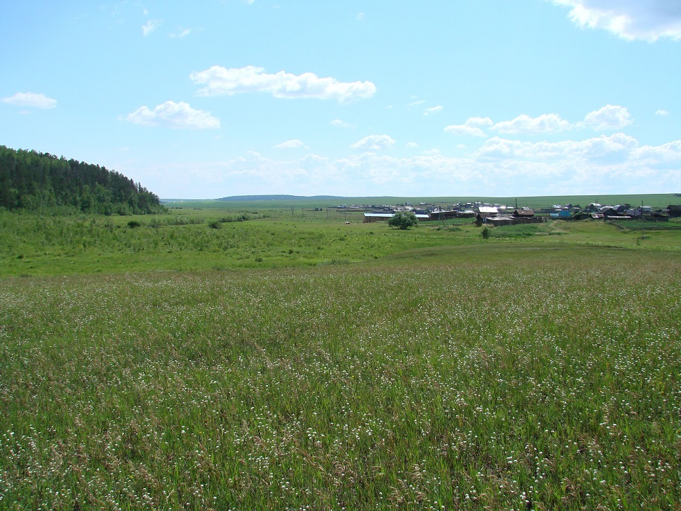 Тайтурка, image of landscape/habitat.