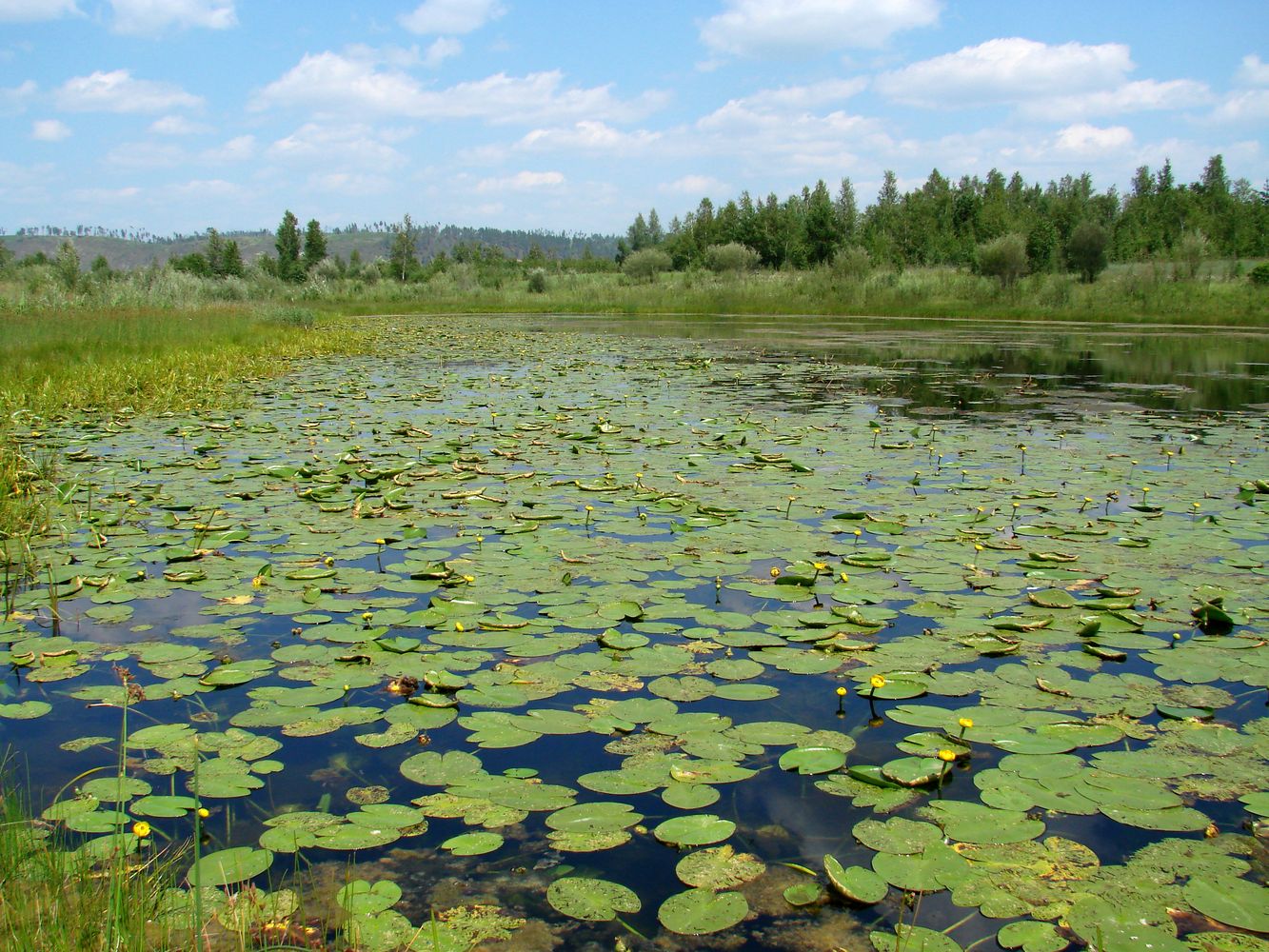 Биликтуй, image of landscape/habitat.