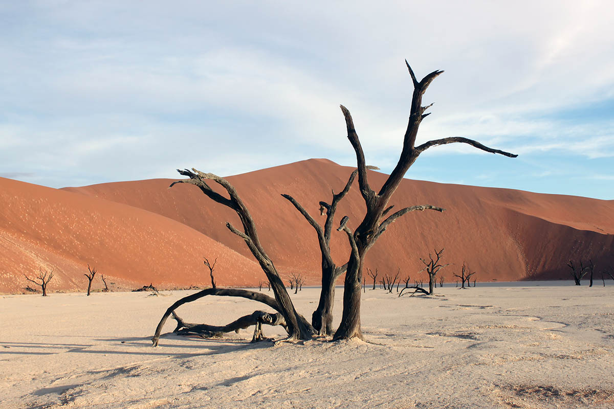 Намиб, image of landscape/habitat.