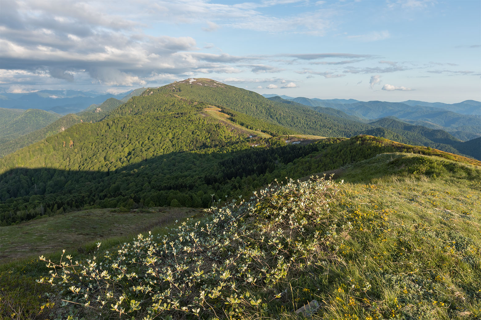 Массив горы Семиглавая, image of landscape/habitat.